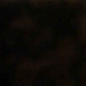 Meet your Posher, Freddie